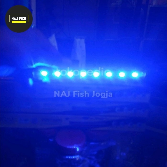 Khusus Instant 80-120cm Lampu LED Celup Akuarium Aquascape Air Laut Warna Blue/biru