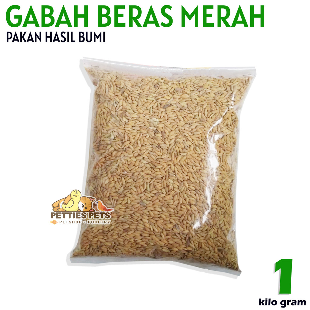 PTS GABAH PADI / BERAS MERAH GABAH AYAM BERAS AYAM MAKANAN AYAM SEMUA RAS AYAM BURUNG MERPATI