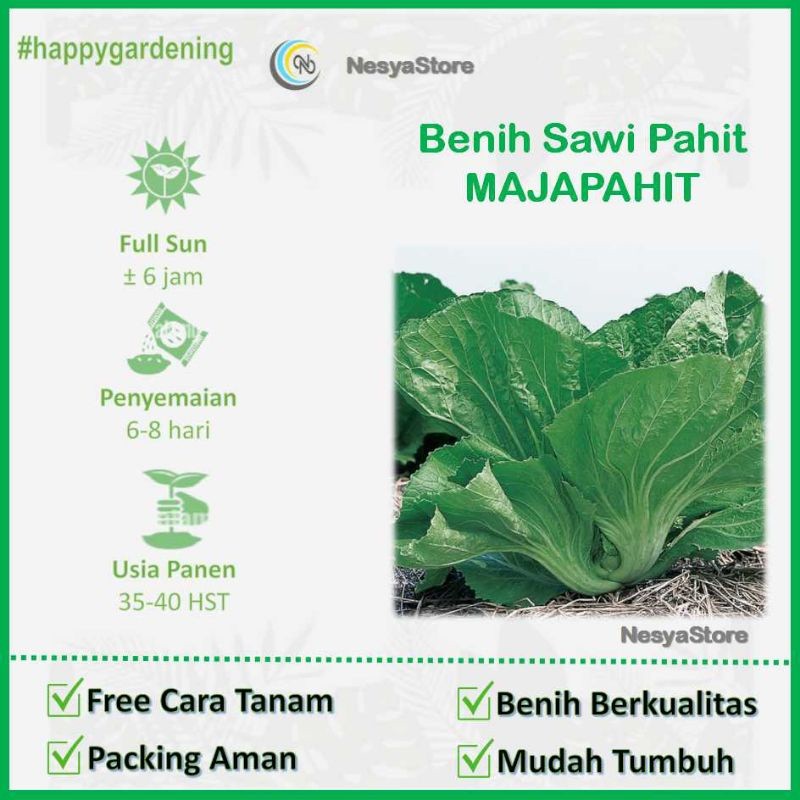 200 Benih Sawi Pahit - Bibit Sayur Sawi Pahit