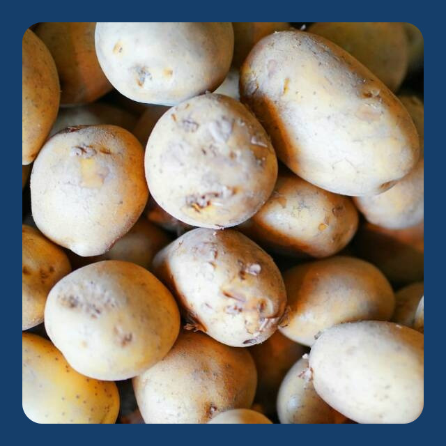 

Kentang Dieng Super 500 gr