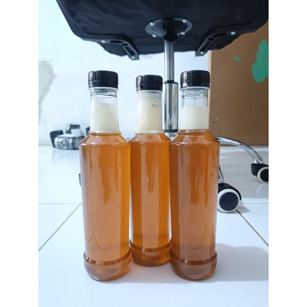 

Madu asli hutan liar Sumatra 100%