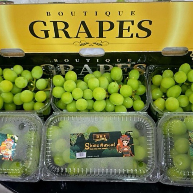 

Anggur Muscat Manis Tanpa Biji Tekstur Jelly