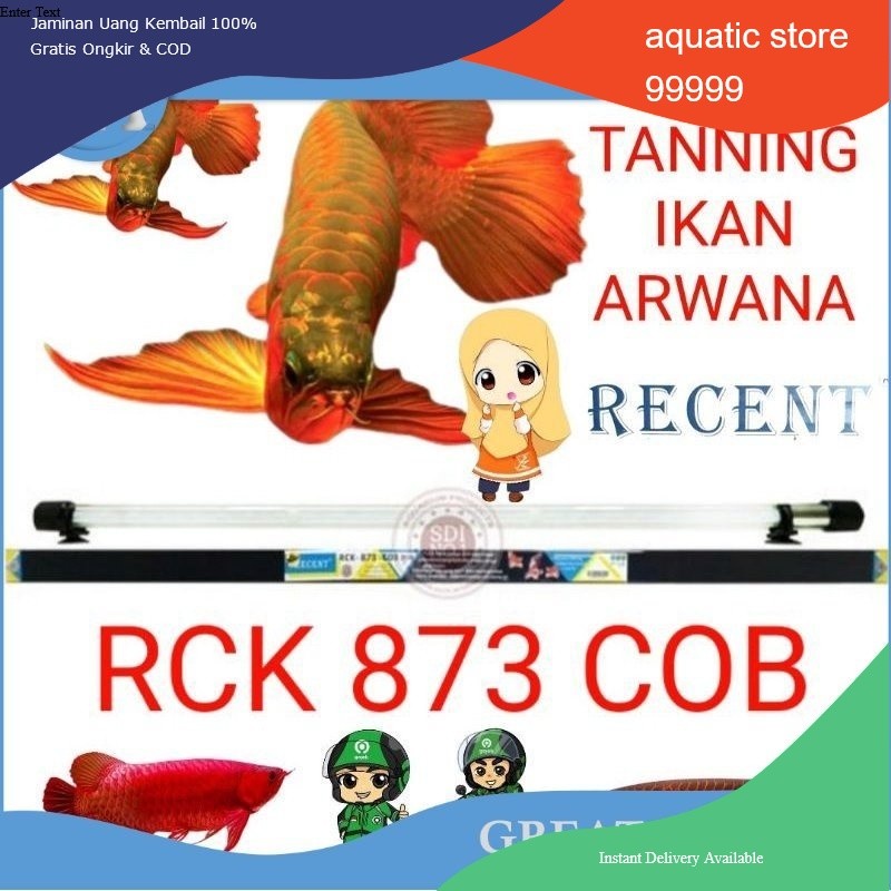 LAMPU TANNING AQUARIUM RECENT RCK 873 COB