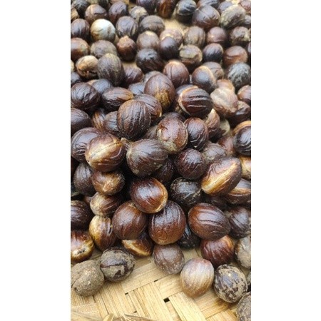 

biji pala kering 50 gram kualitas terbaik AF