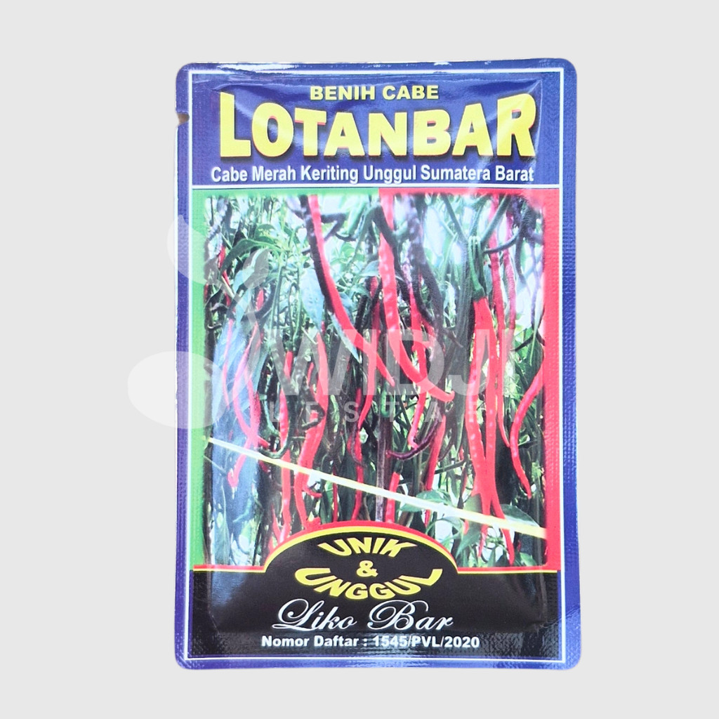 LOTANBAR 10gr Benih Cabe Keriting Original LOKAL Sumatera Barat Bibit CMK ±2200 Biji