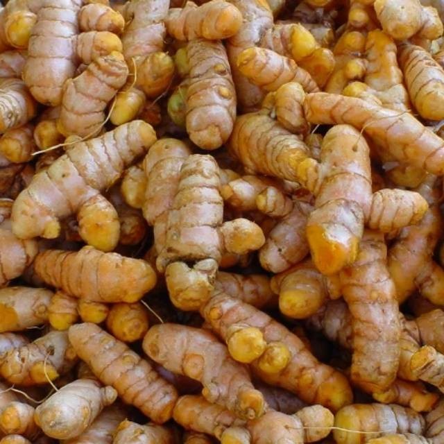 

Kunyit Segar Jumbo Grade A Organik Kunyit Bersih Rempah 1000 Grm