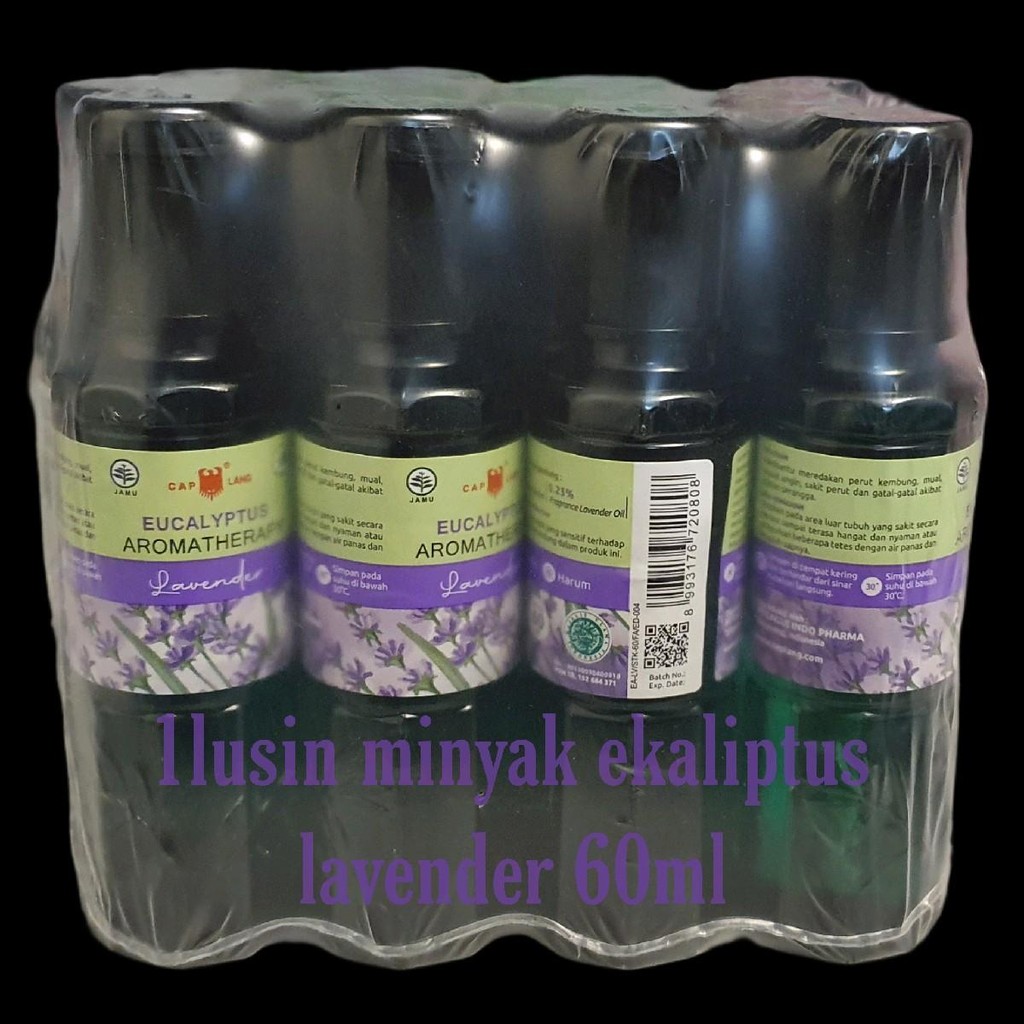 1lusin minyak kayu putih ekaliptus lavender 60ml