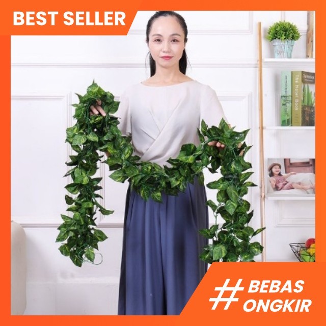 DAUN RAMBAT PLASTIK PALSU ARTIFICIAL PLASTIK SULUR DAUN IMITASI DAUN HIAS TANAMAN GANTUNG HIJANG SIN