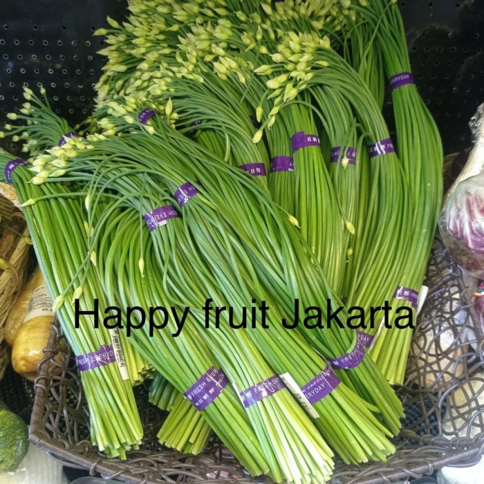 

Bungai kucai fresh | sayur Bunga kucai super fresh /ikat