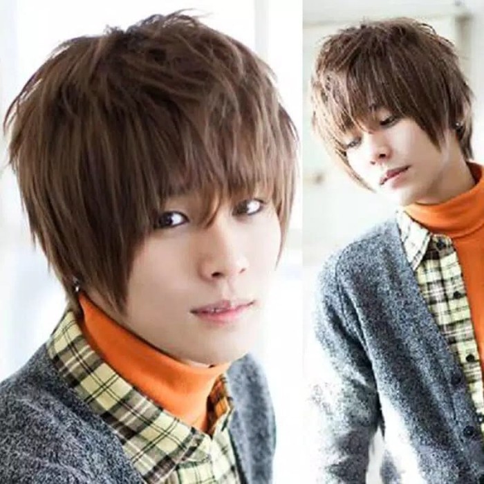 Wig Rambut Pria Model Korea warna coklat