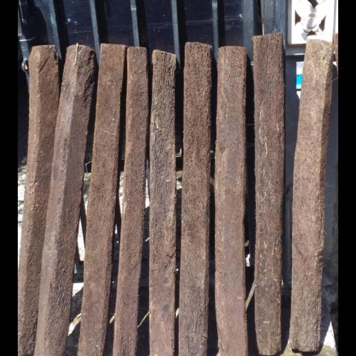 TURUS / STIK AKAR PAKIS Anggrek