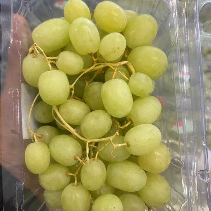 

Promo Buah Anggur green seedless tampa biji 900gr