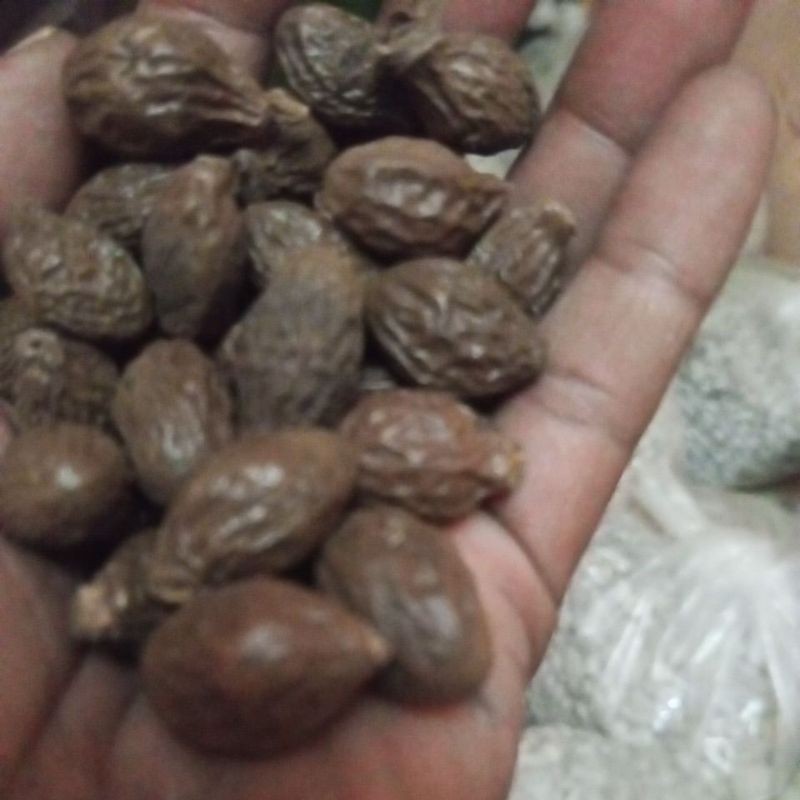 

NEW tempayang 1 kg Beng ta hai PREMIUM