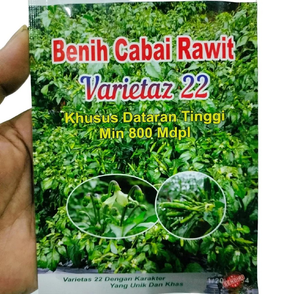 Cabe Ijo Varietaz 22 10gr Lokal Aceh Varietas 22 Original