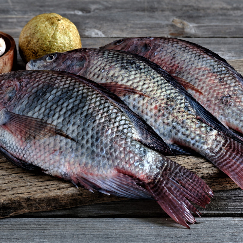 

Ikan Mujaer Segar 1kg