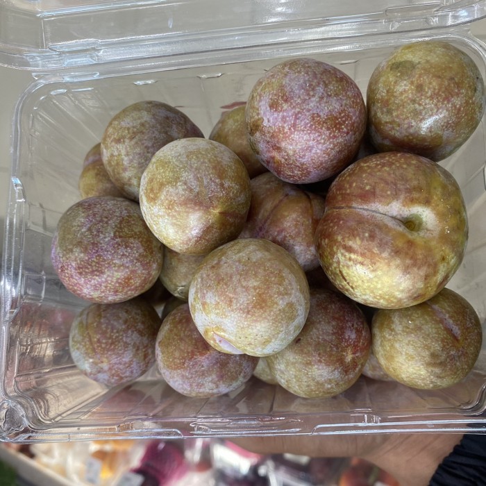 

plum holfresh super pack 800 grm | Buah plum pack