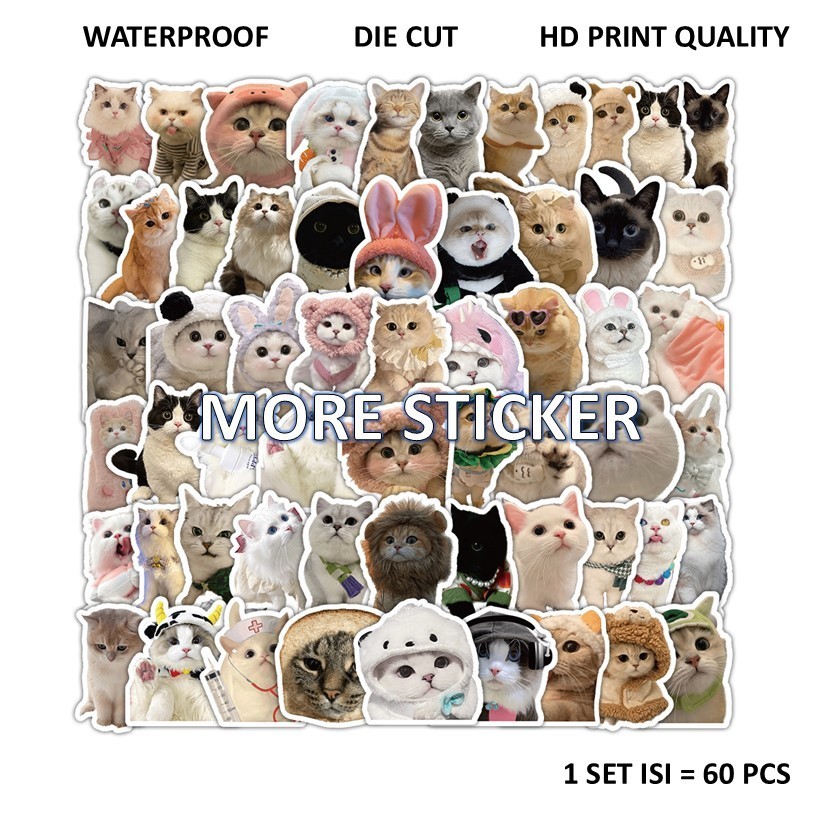 

ISI 60 PCS STICKER PACK MOTIF KUCING KITTEN CAT PVC VINYL WATERPROOF UKURAN 4-5CM HP LAPTOP KOPER HELM MOTOR