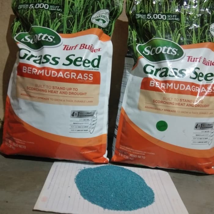 benih bibit biji rumput bermuda grass 1kg - bermuda grass seed scotts