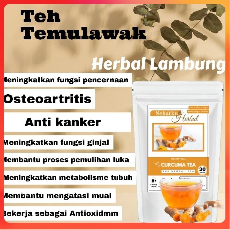 

SEHATKUHERBAL Teh Temulawak Original : Obat Herbal Asam lambung (Gerd/magh) isi 30 tea bag