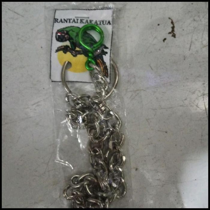 rantai burung nuri kakatua stainless