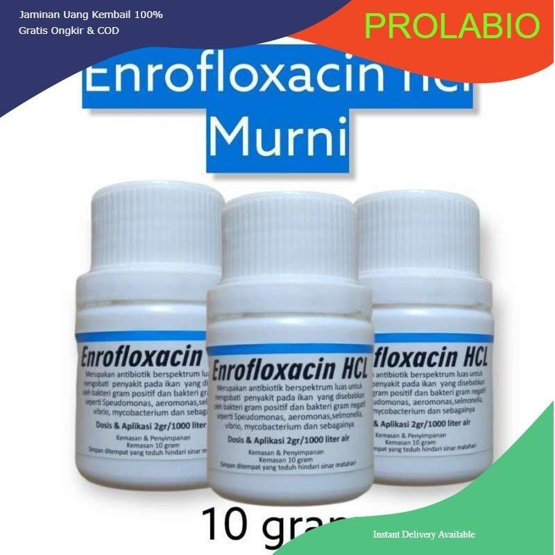 enrofloxacin murni 10 gram