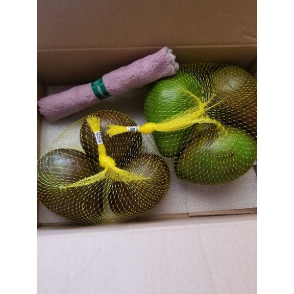 

Alpukat Mentega Sudah Matang / Mengkel – Alpukat Lezat dan Siap Santap