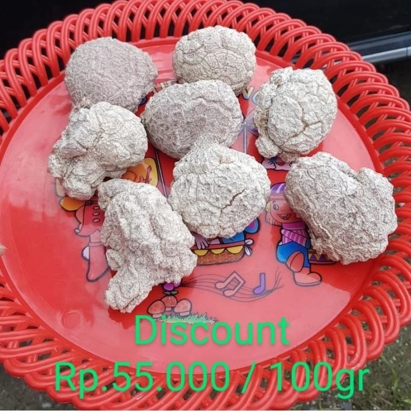 

NEW Jamur Susu Harimau / Tiger Milk Mushroom PREMIUM