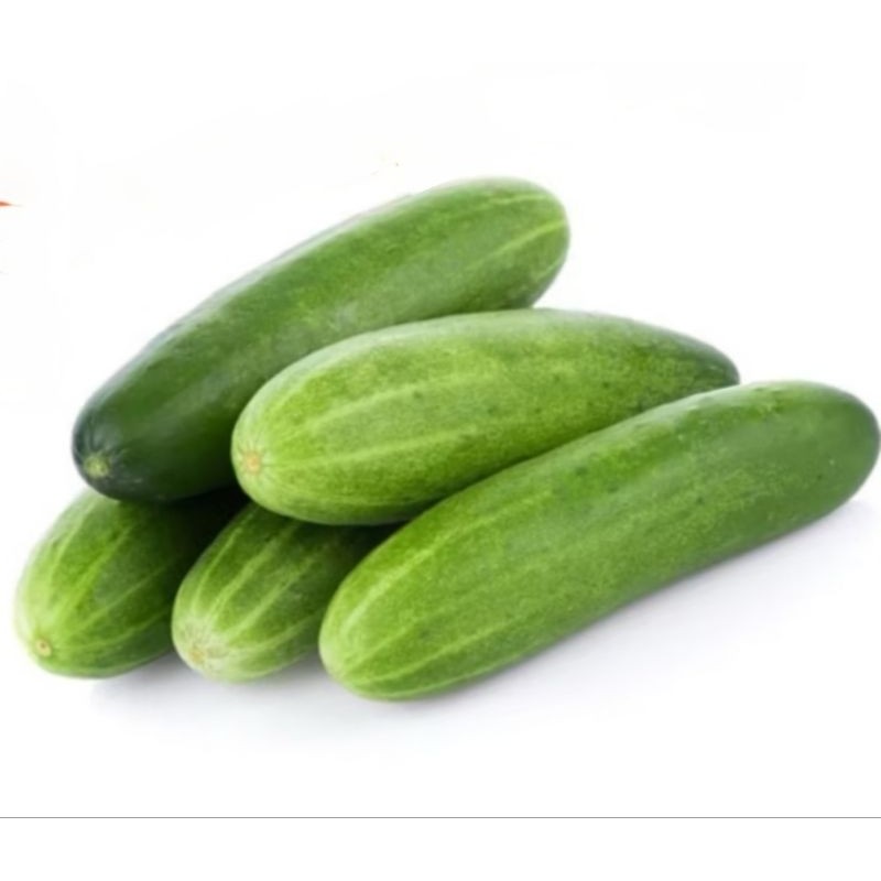 

Mentimun 1 buah / TIMUN 1 buah