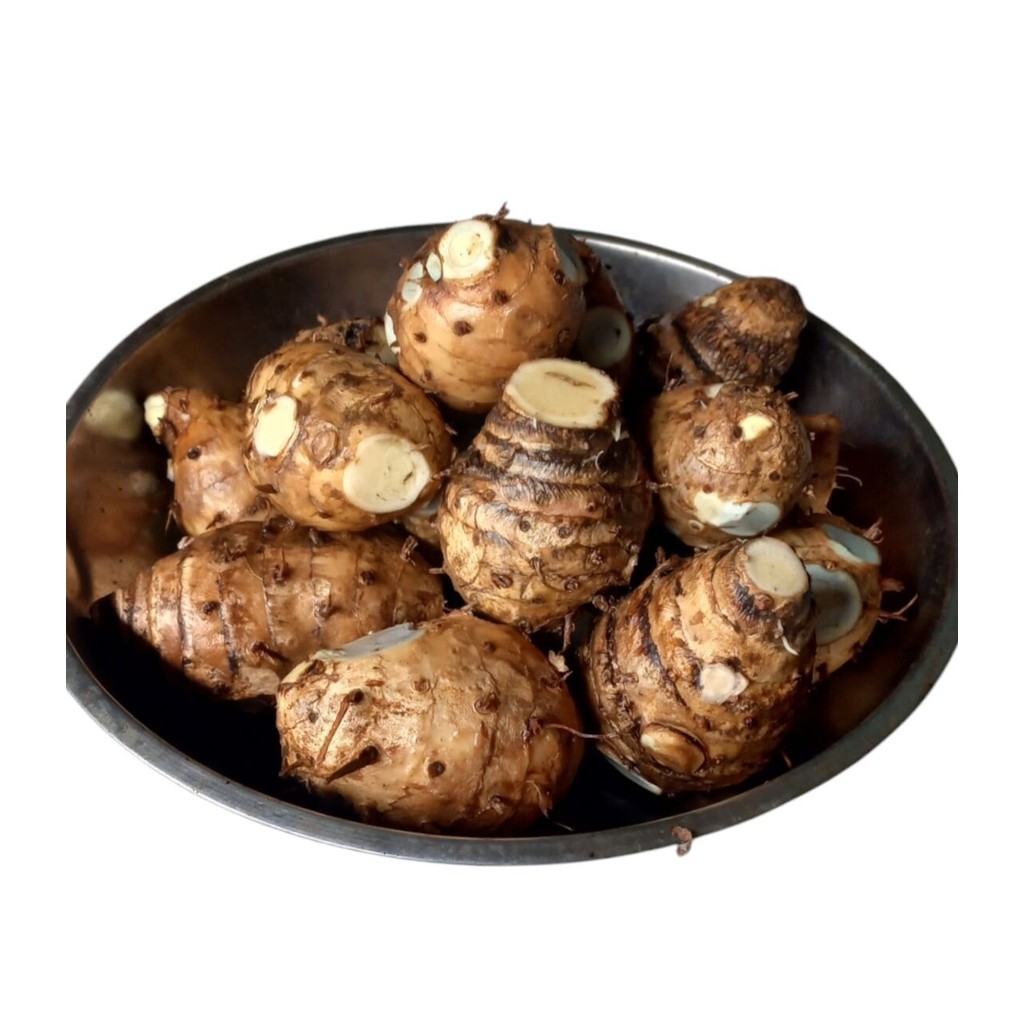 Biang Kunyit Putih 1kg | Empu Kunyit Putih 1kg/ Biang Kunyit 1kg / Induk Kunyit / Obat Herbal Alami