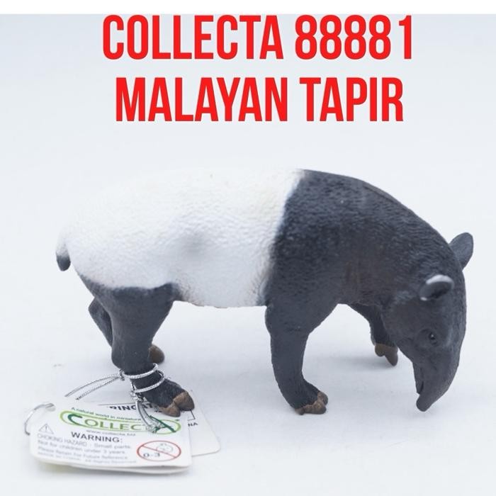 Collecta 88881 Malayan Tapir Tenuk Cipan Sipan Gindol Seladang Badak Babi Tapirus Indicus Mainan Bin