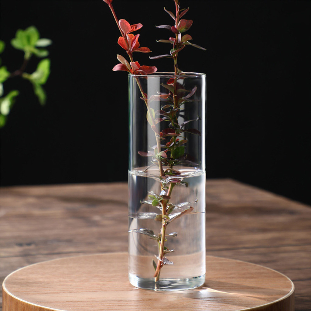 Transparent Glass Hydroponic Vase Minimalist Glass Vase Cylinder Flower Vase for Wedding Living Room