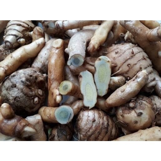 

1kg kunyit hitam segar/temu ireng/temu hitam/kunyit hitam saung_herbalco