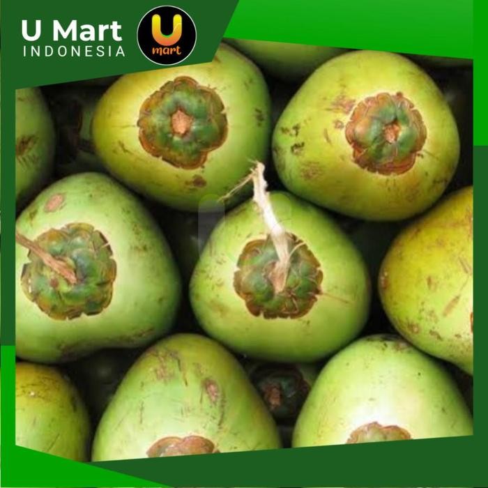 

U Mart - Buah Kelapa Ijo 1 Buah Klapa Obat