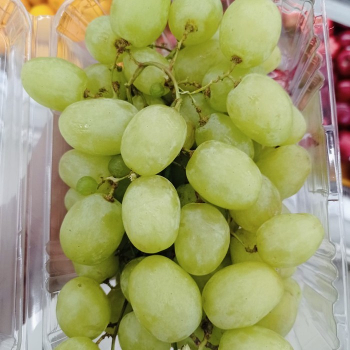 

Anggur green envy crunchy sweet | Buah anggur hijau garing manis 1 kg