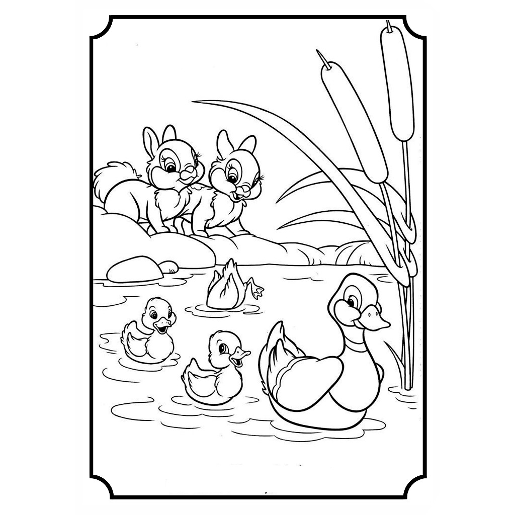 

Lembar Kertas Gambar Mewarnai Tema BEBEK ISI 20 PCS Toys Anak /Lembar Kertas Mewarnai Alfabeth Kertas Size A4