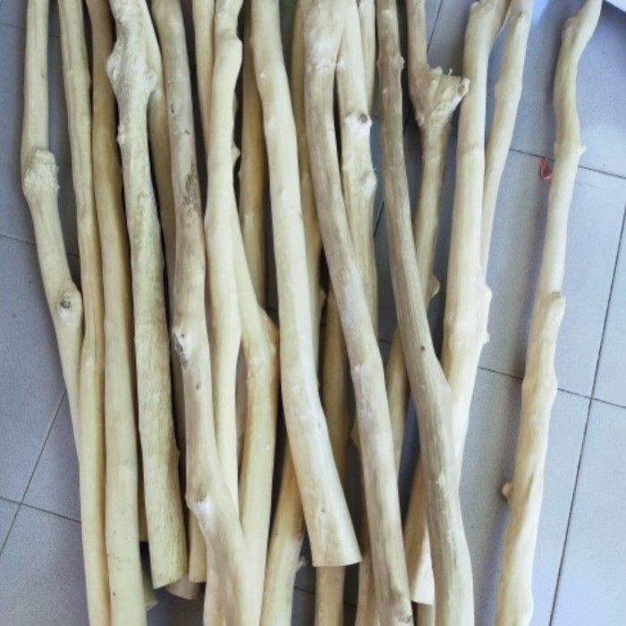 tAngkringan Burung Kayu Kopi kuat kayu kopi awet panjang 1 meter