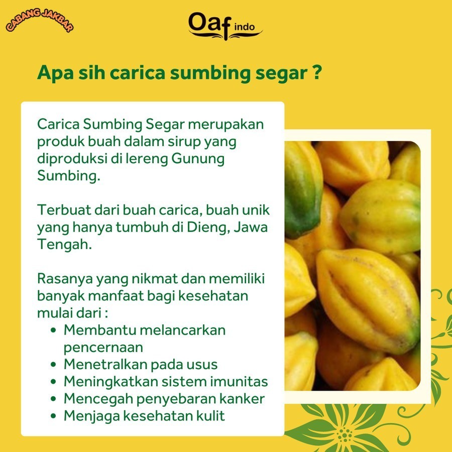 

Carica Dieng Sumbing Segar Isi 6 Cup Manisan Buah Pepaya Oleh Oleh Khas Wonosobo