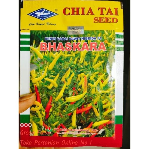 

Big Sale 9.9 Cabe Bhaskara F1 10gr Cabe Hibrida Original Cap Kapal Terbang Organik Organik Benih Cabai Merah
