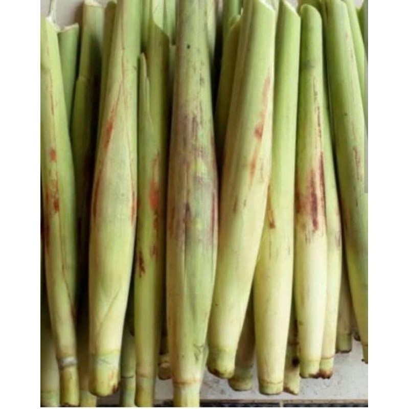 

terubuk/telur tebu sayuran dan lalapan segar per 1kg R. M