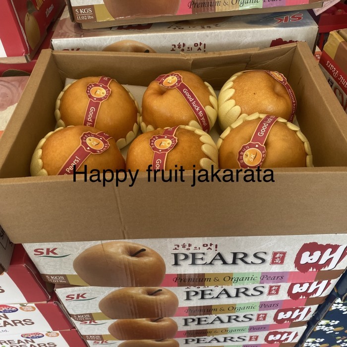 

hampers imlek 2024 | Buah pear singo korea original premium Box 6s