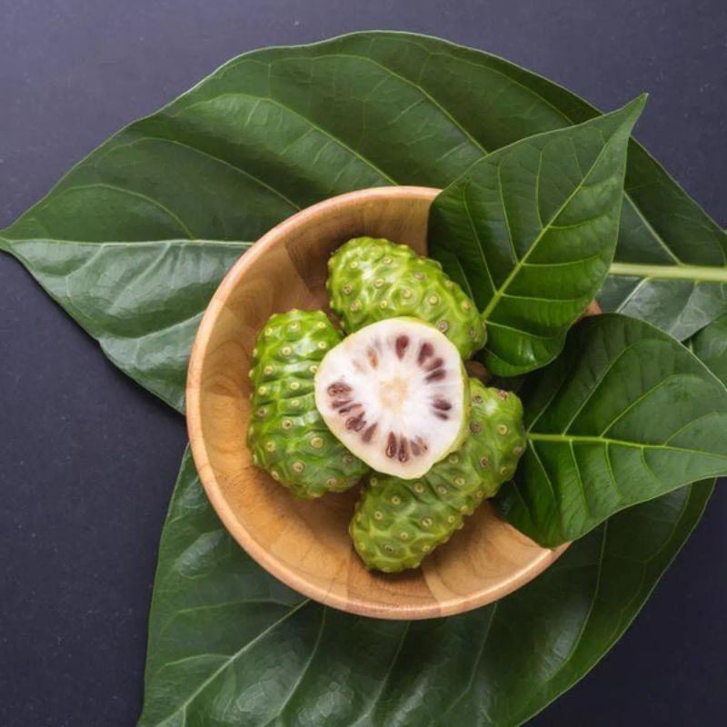 

PAKET HERBAL BUAH PACE DAN DAUN MENGKUDU SEGAR DI AMBIL LANGSUNG