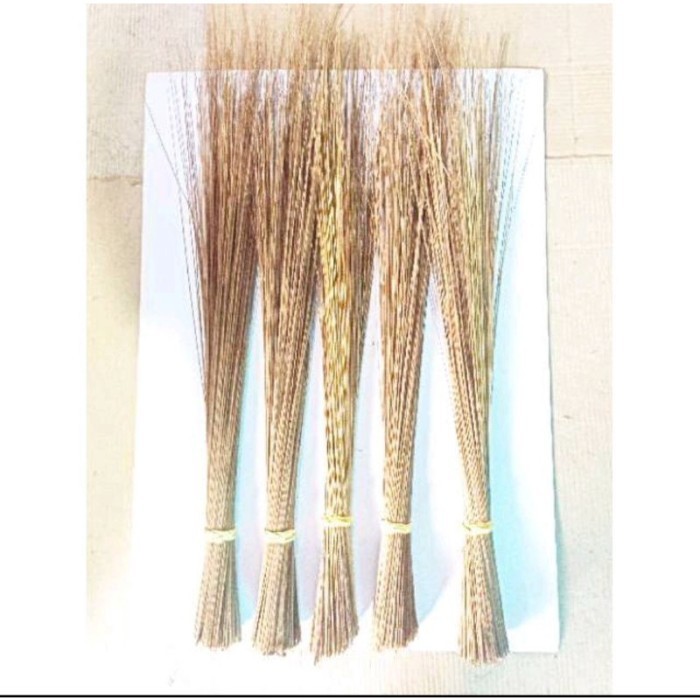 SAPU LIDI/SAPU KASUR - SAPU LIDI  - SAPU LIDI