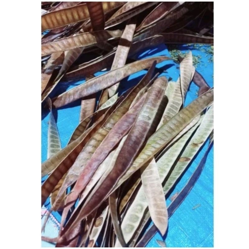 Kulit lamtoro kering satu  lembar/Pete cina Batak