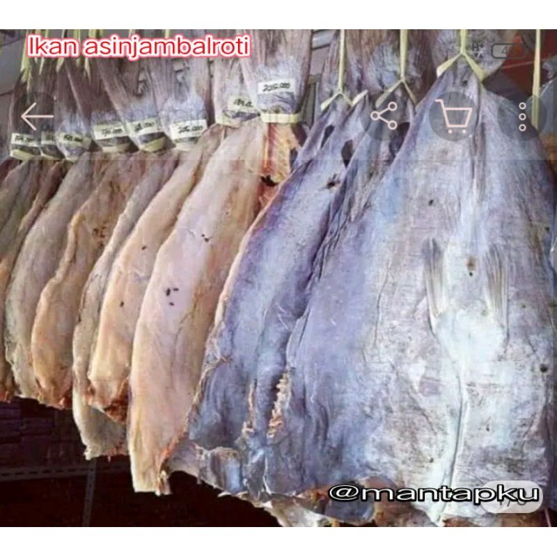 

selalu Promo Ikan Asin Jambal Roti asli khas pangandaran