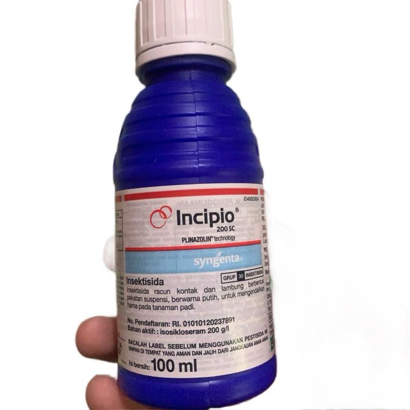 INSEKTISIDA INCIPIO 200SC SYNGENTA RACUN ULAT