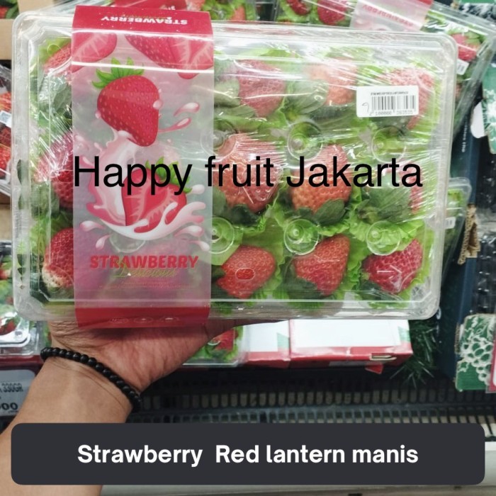 

Promo Strawberry Red lantern fresh | strawberry red lantern pack