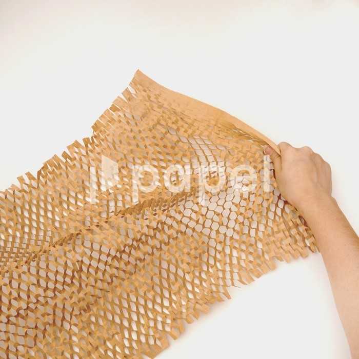 

Papelwrap | Ecofriendly Bubblewrap | Bubblewrap Kertas Size 45x60cm - 20 Sheets