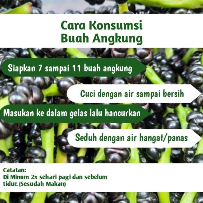 

Buah Angkung Segar Organik Obat Stroke 200 Biji (GOS) ^_^ Alam Herbal 28