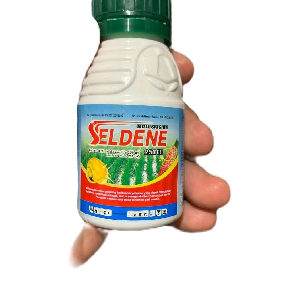 SELDENE OBAT KEONG SEMPROT BEKICOT RACUN SEMPROT KEONG Tanaman