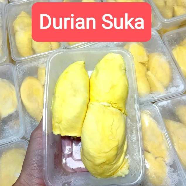 

Durian Montong Palu Parigi Grade A Premium Manis Creamy